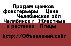 Продам щенков (фокстерьеры) › Цена ­ 20 000 - Челябинская обл., Челябинск г. Животные и растения » Птицы   